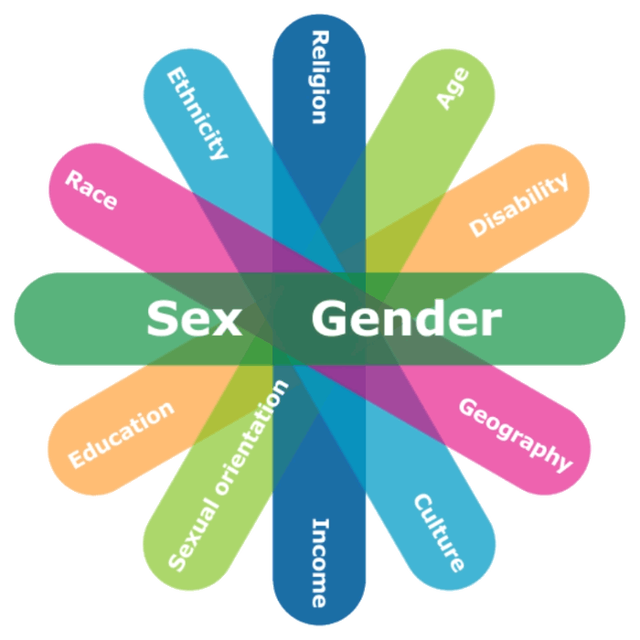 This “identity factors” wheel shows all the different identities that must be considered by government workers in crafting policy (Status of Women Canada).